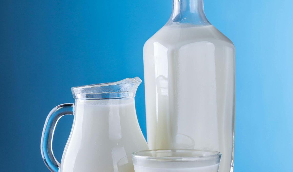 <b>Manfaat Susu&nbsp;</b>
