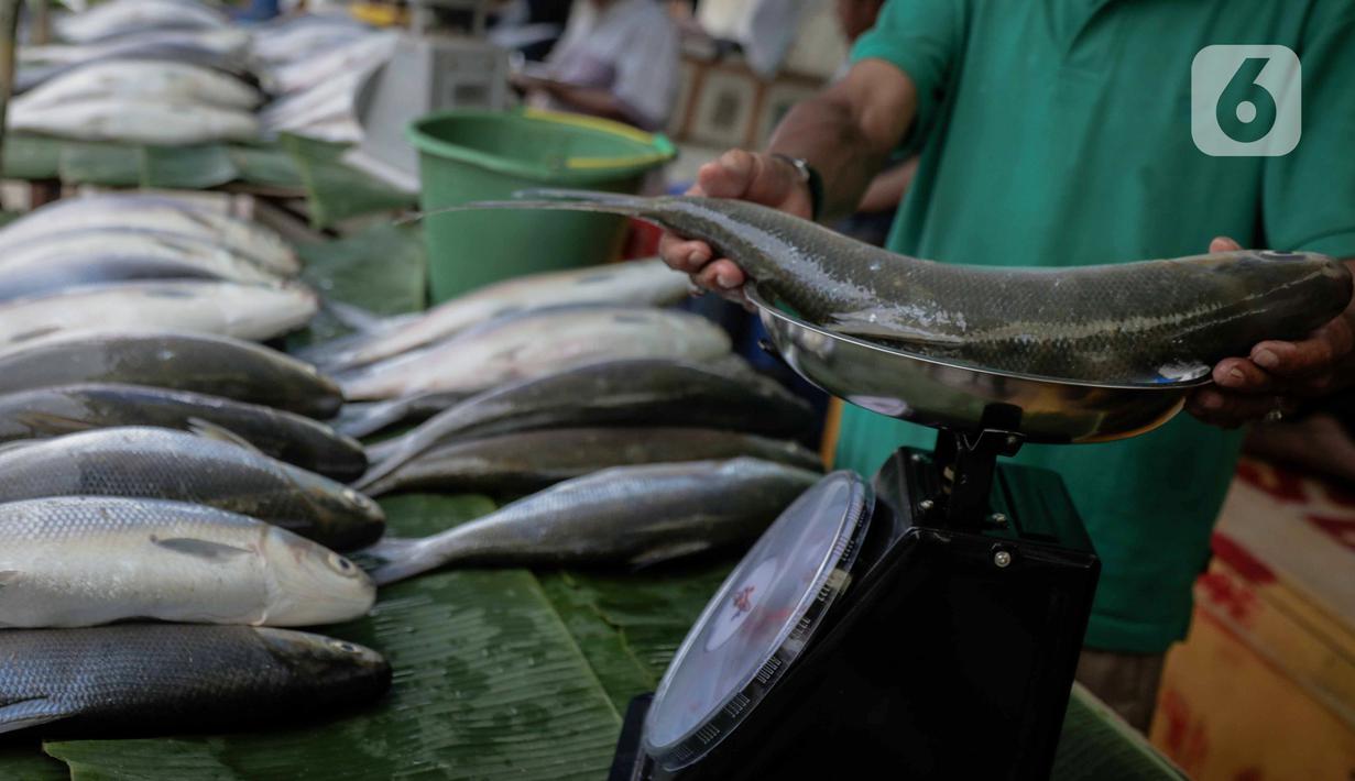 Pedagang menimbang ikan bandeng yang dia jual di kawasan Rawa Belong, Jakarta, Selasa (21/1/2020). Bandeng yang biasanya menjadi hidangan khas saat Tahun Baru Imlek tersebut mulai ramai diperdagangkan di Rawa Belong. (Liputan.com/Faizal Fanani)