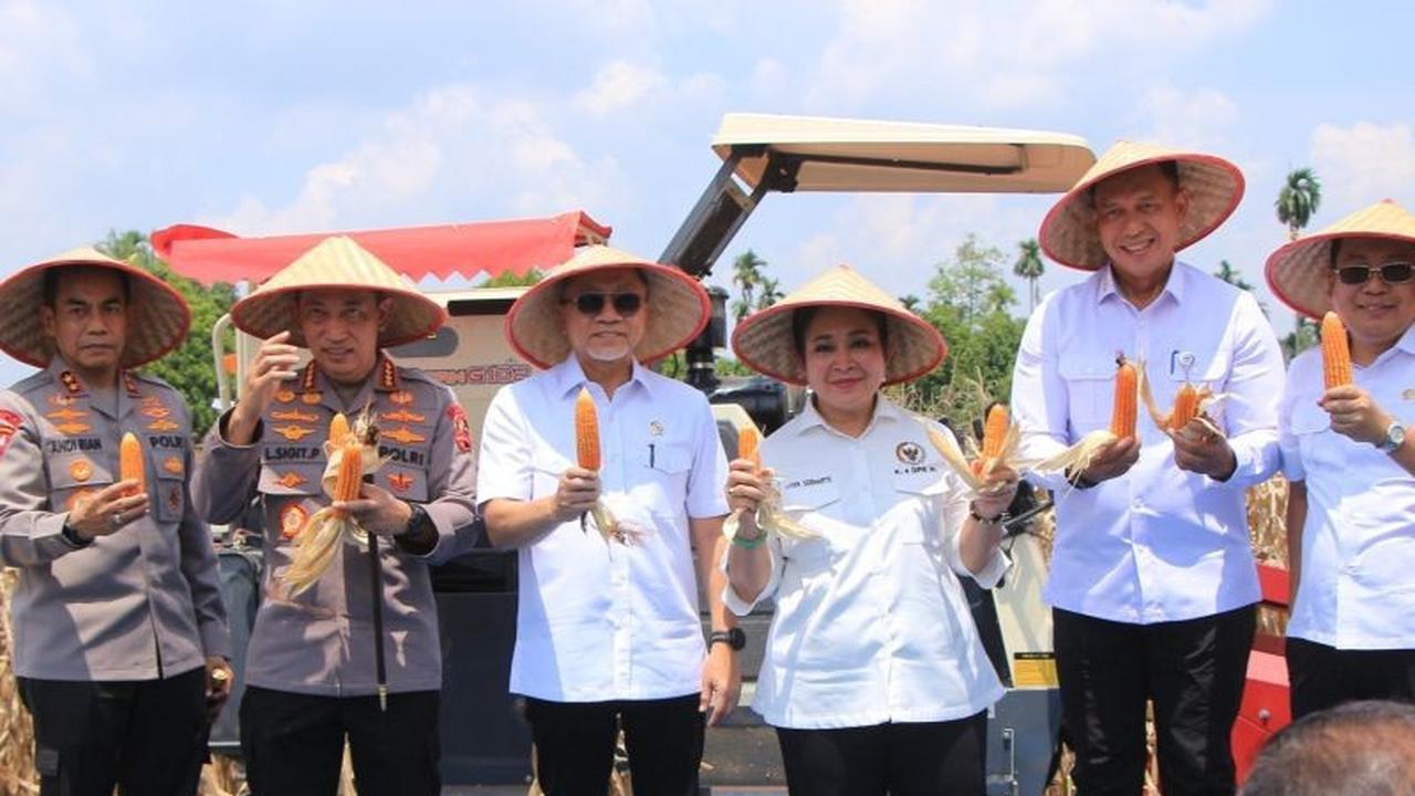 Fakta Unik: Kapolri Turun Langsung, 751 Ribu Ton Panen Raya Jagung Nasional Dukung Ketahanan Pangan