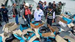 Petugas memeriksa kuda laut yang disita dari sebuah kapal di Pelabuhan Callao, Peru, Senin (30/9/2019). Pejabat Peru mengatakan kuda laut tersebut diambil secara ilegal dari perairan Samudra Pasifik. (Peruvian Ministry of Production/AFP)