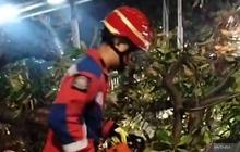 Respons Cepat Damkar Jaktim dalam Evakuasi Pohon Tumbang di Ciracas
