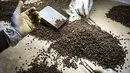 Seorang ahli geologi memilah-milah batu untuk mendapatkan batu ruby yang ditambang di penambangan Gemfields di Montepuez, Mozambik (14/2). (AFP/John Wessels)