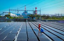 Arah Stratgis PLN Indonesia Power 2026, Dorong Transformasi Hijau Berkelanjutan