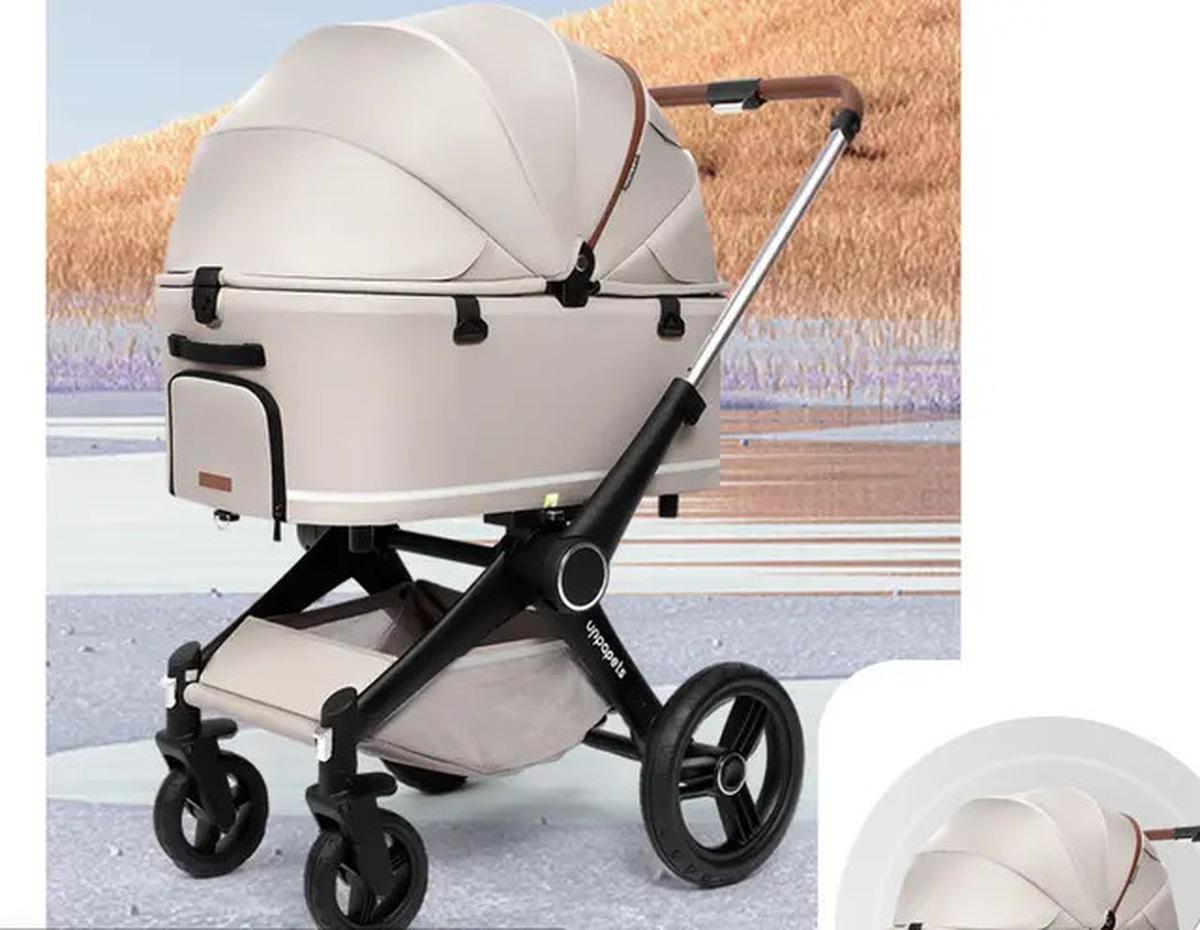 Mengintip Harga Fantastis Stroller Bobby Kertanegara, Kucing Peliharaan Prabowo yang Jadi Idola