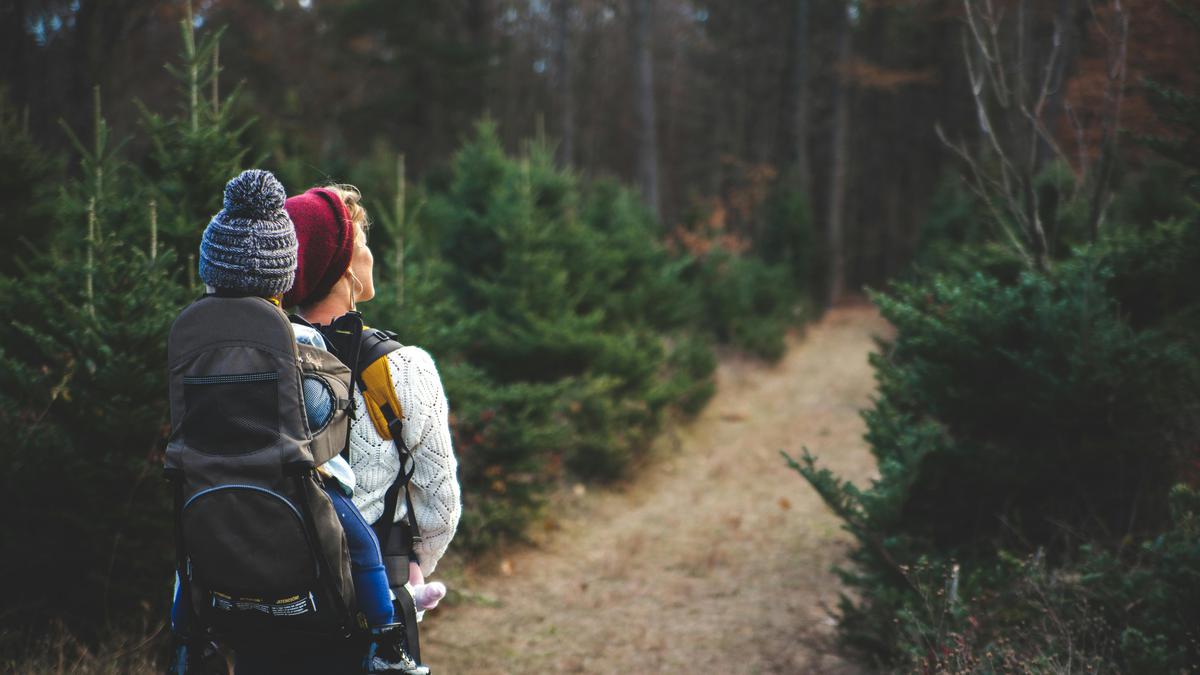 4 Manfaat Mendaki Gunung untuk Kesehatan dan Kesejahteraan