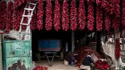 Sepasang manula memasukkan paprika merah ke gulungan benang untuk dijemur di Desa Donja Lakosnica, Serbia, Senin (25/9). Pengeringan ini masih menggunakan teknik tradisional karena memanfaatkan matahari dan udara segar. (ANDREJ ISAKOVIC/AFP)