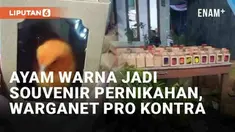 Souvenir pernikahan umumnya berupa benda-benda unik seperti gelas hias hingga gadget. Namun hajatan pernikahan yang viral baru-baru ini justru memakai anak ayam warna-warni sebagai souvenir. Pihak penyelenggara mengemas ayam masing-masing dalam kotak...