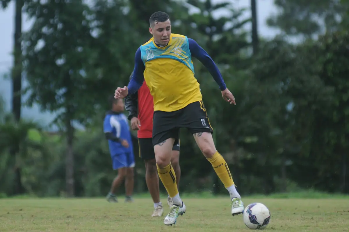 Felipe Bertoldo