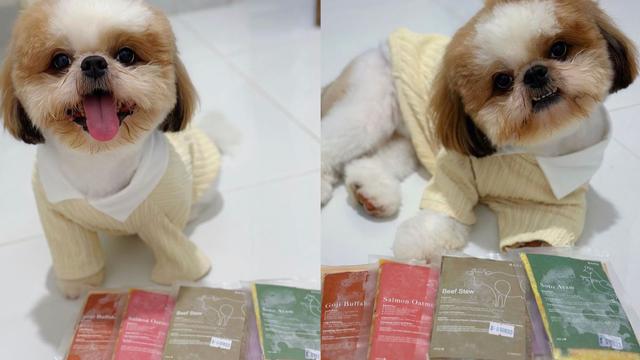 Seekor anjing yang berfoto dengan produk makanan dari Barkpet.id