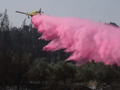 Sebuah pesawat pemadam kebakaran menjatuhkan bahan penghambat api ketika mencoba memadamkan kebakaran hutan di dekat kota Bet Shemesh, Israel tengah, pada tanggal 1 Mei 2025. (Ahmad GHARABLI/AFP)