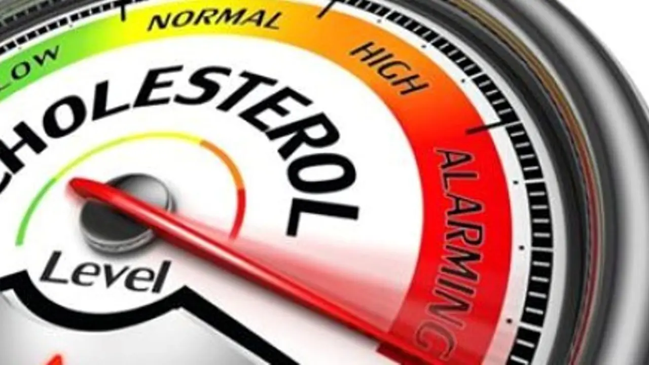 [Bintang] Kolesterol Tinggi Saat Lebaran