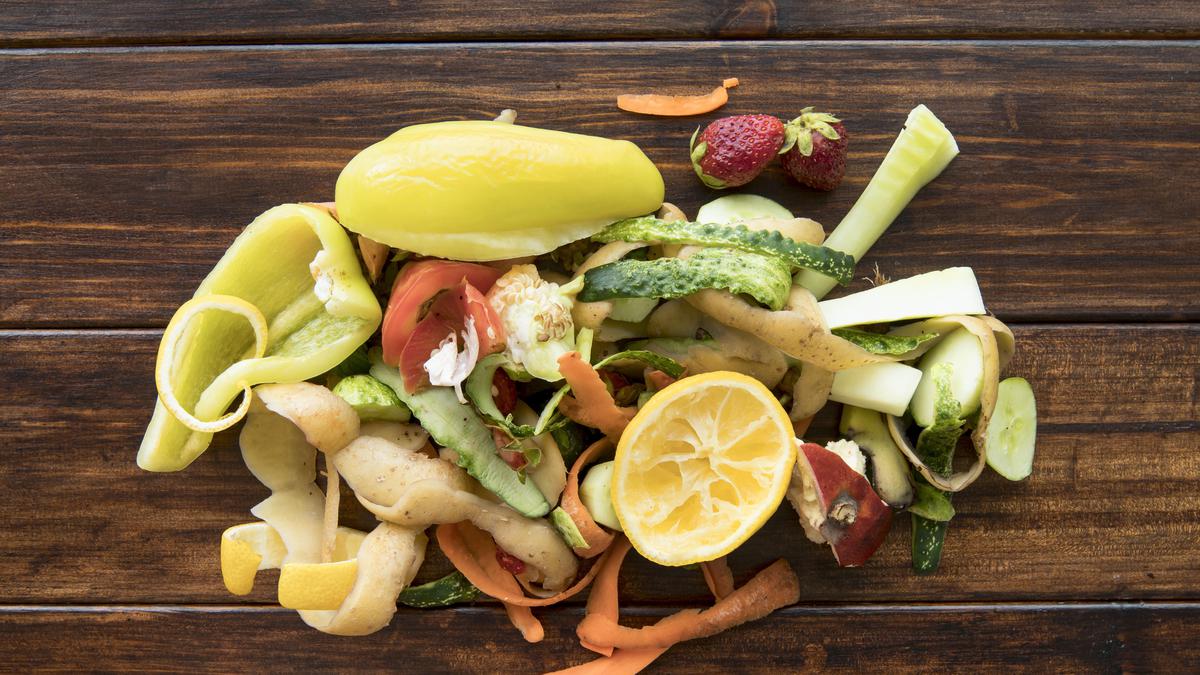 Cara Budidaya Maggot dengan Limbah Sayuran yang Efektif dan Efisien