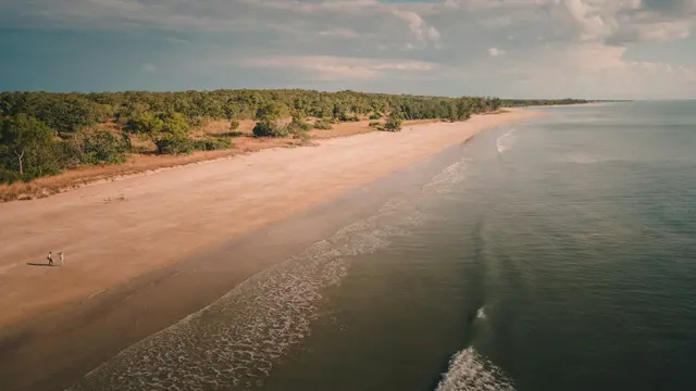 Darwin