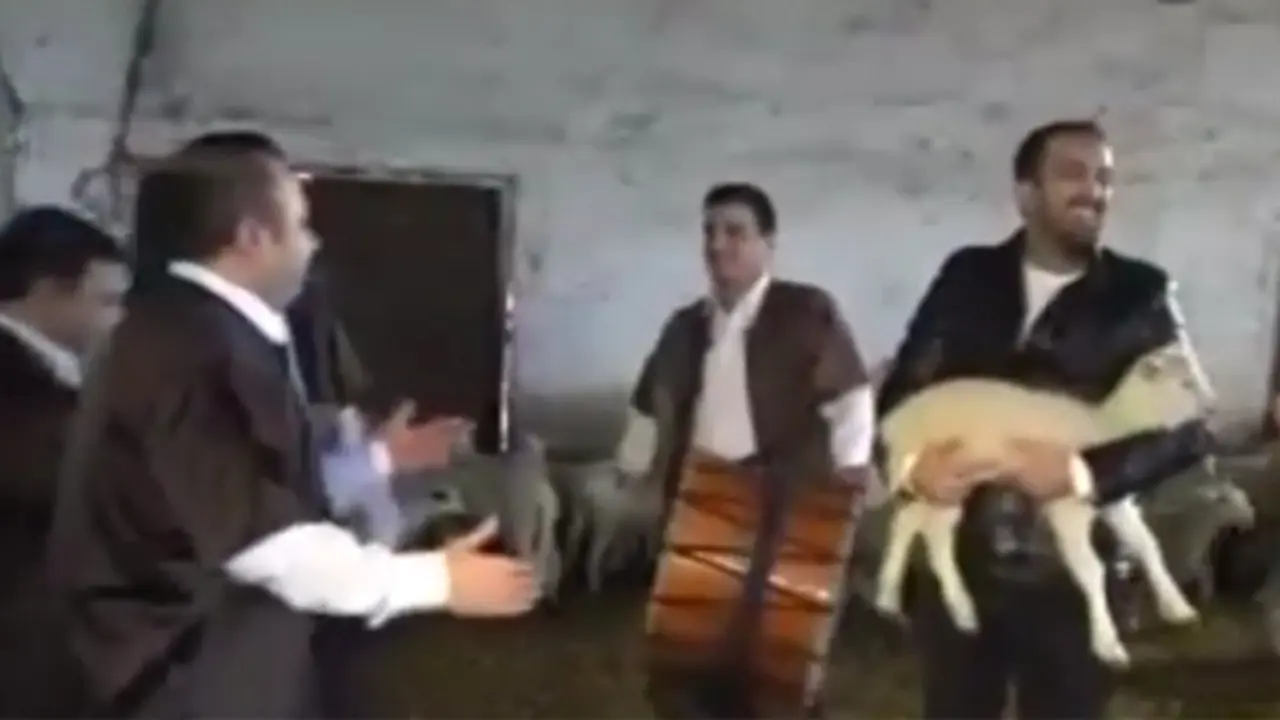 kebab turki