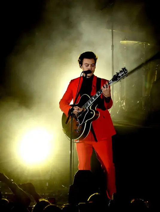 Sejumlah  penggemar mengulurkan tangan untuk bersalaman dengan sang idola, namun sayangnya, salah satu fansnya justru berbuat hal yang kelewatan. Ia meremas bagian vital Harry Styles. (AFP/Kevin Winter)