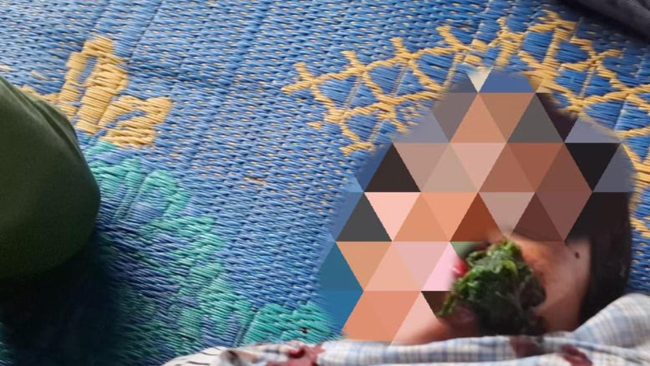 Komnas HAM Kecam Kekerasan PT Toba Pulp Lestari ke Masyarakat Adat