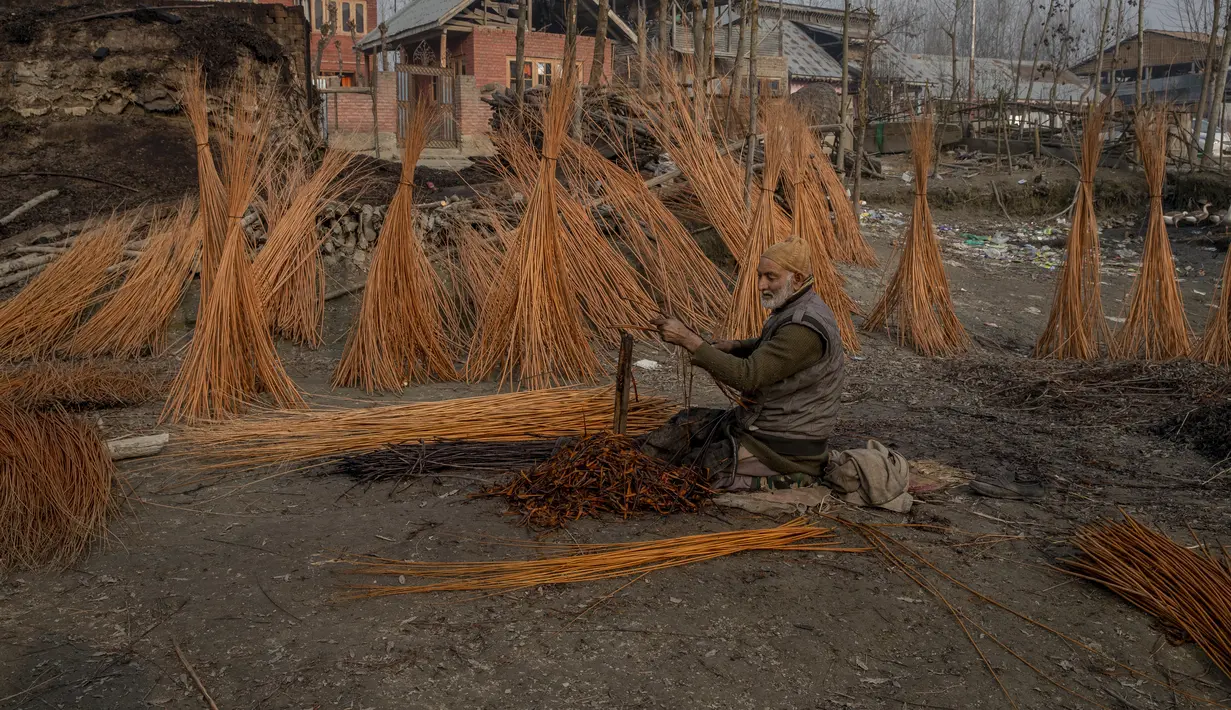 Seorang warga Kashmir mengupas kulit batang anyaman di pinggiran Srinagar, Kashmir yang dikuasai India, Selasa (30/11/2021). Warga Kashmir menggunakan tungku tradisional ini untuk menghangatkan diri selama bulan-bulan musim dingin yang parah. (AP Photo/Dar Yasin)