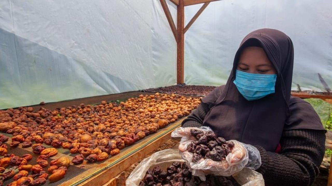 UNAND Padukan Kearifan Lokal 'Parak' Minangkabau dengan Pertanian Cerdas Iklim