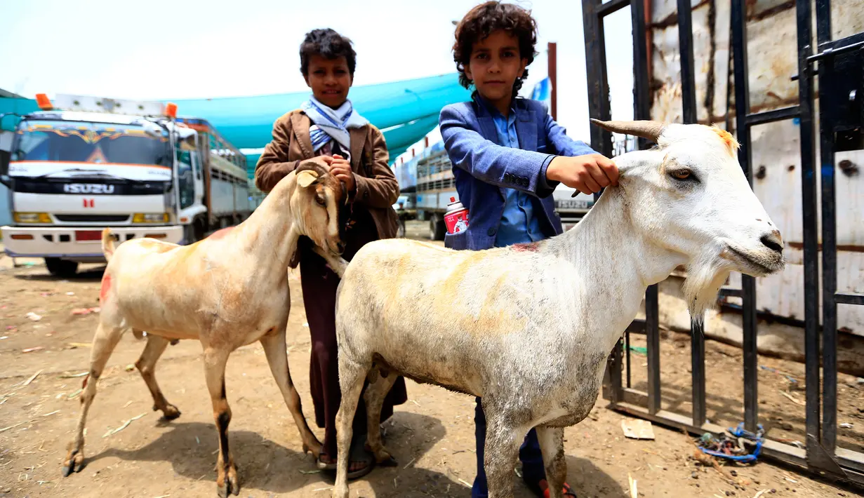 Anak-anak Yaman berpose dengan kambing di pasar ternak menjelang Idul Adha di ibu kota Sanaa, 6 Agustus 2019. Umat Islam di seluruh dunia akan merayakan Idul Adha yang identik dengan tradisi berkurban menggunakan hewan seperti kambing, domba, unta, sapi dan kerbau. (MOHAMMED HUWAIS/AFP)