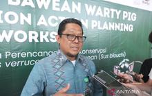 Kementerian Kehutanan Dukung Konservasi Babi Kutil Endemik Indonesia