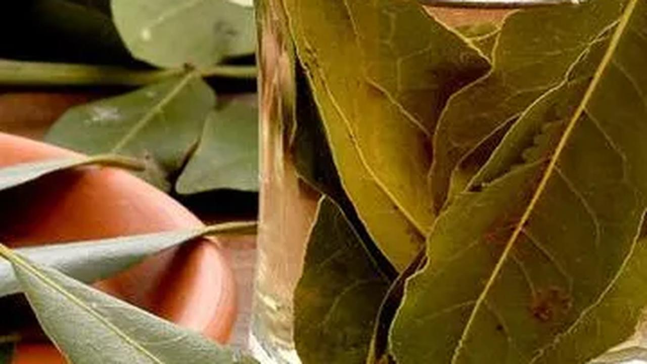 6 Manfaat Rebusan Daun Salam dan Jahe, Bantu Atasi Asam Urat