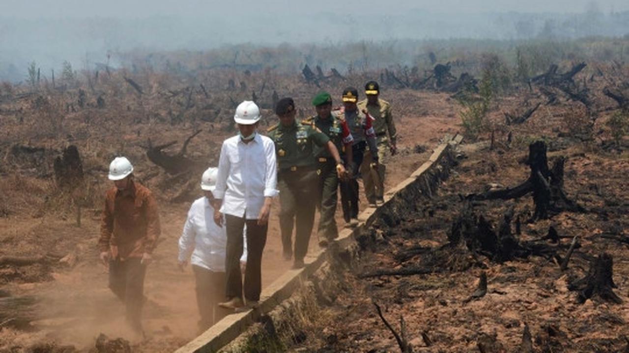 Aksi Jokowi tinjau langsung kebakaran hutan di Kalimantan