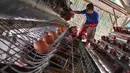 Peternak mengambil telur ayam ras pada sebuah peternakan ayam di kawasan Gunung Sindur, Bogor, Jawa Barat, Kamis  (09/07/2026).