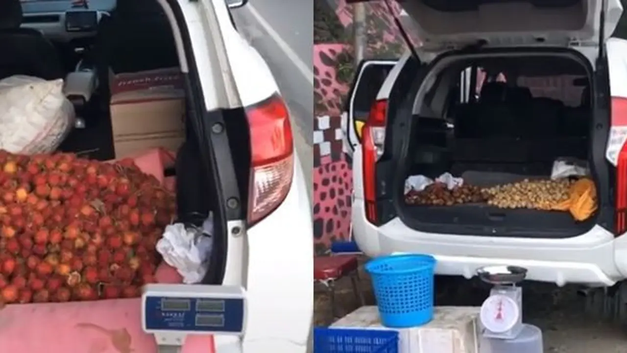 Jualan buah (TikTok/@adityaprasetio_st)