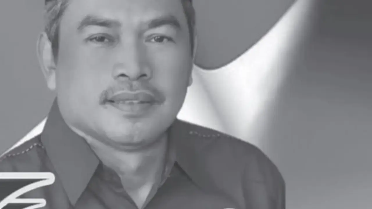 Satori, anggota DPR RI periode 2024-2029 dari fraksi Nasdem
