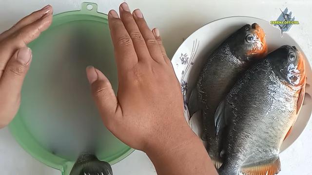 Hanya dengan Cucian Beras, Ini Cara Hilangkan Bau pada Ikan Bawal