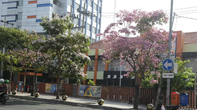 (Foto: Liputan6.com/Dian Kurniawan)