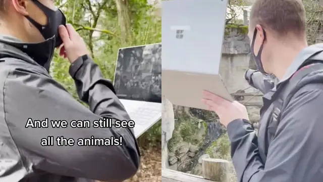 Cara kreatif seorang guru TK mengenalkan nama-nama binatang dengan mengajak muridnya berkeliling kebun binatang secara virtual.
