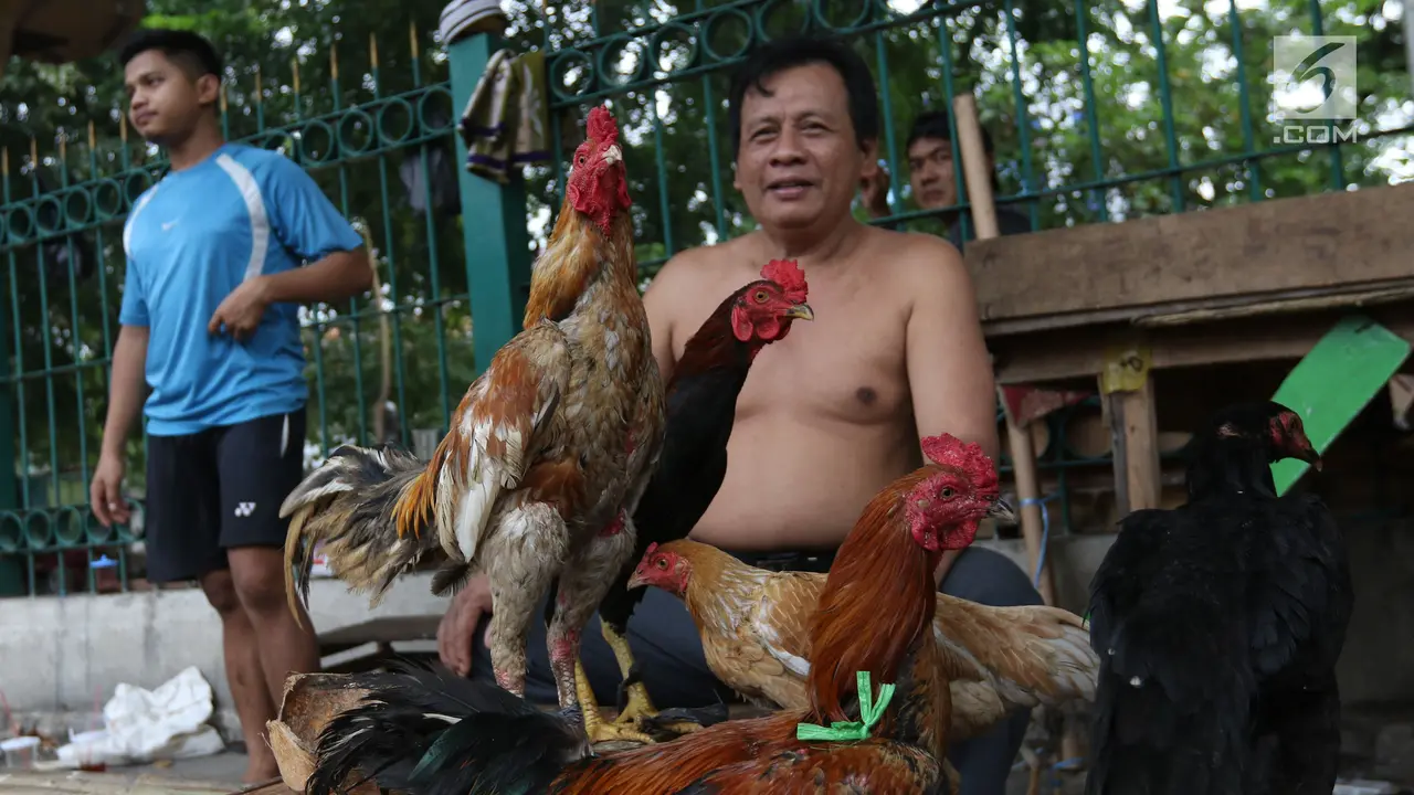 Ilustrasi ceker ayam