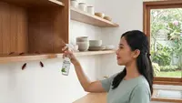 11 Jurus Ampuh Usir Kecoak dari Lemari Dapur Kayu, Tanpa Bahan Kimia Berbahaya
