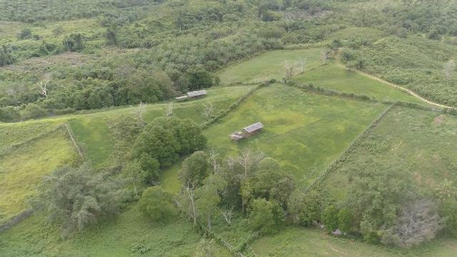 Pernah Tuntut Pemekaran, Kecamatan Sepaku Kini Bakal Jadi Ibu Kota Negara