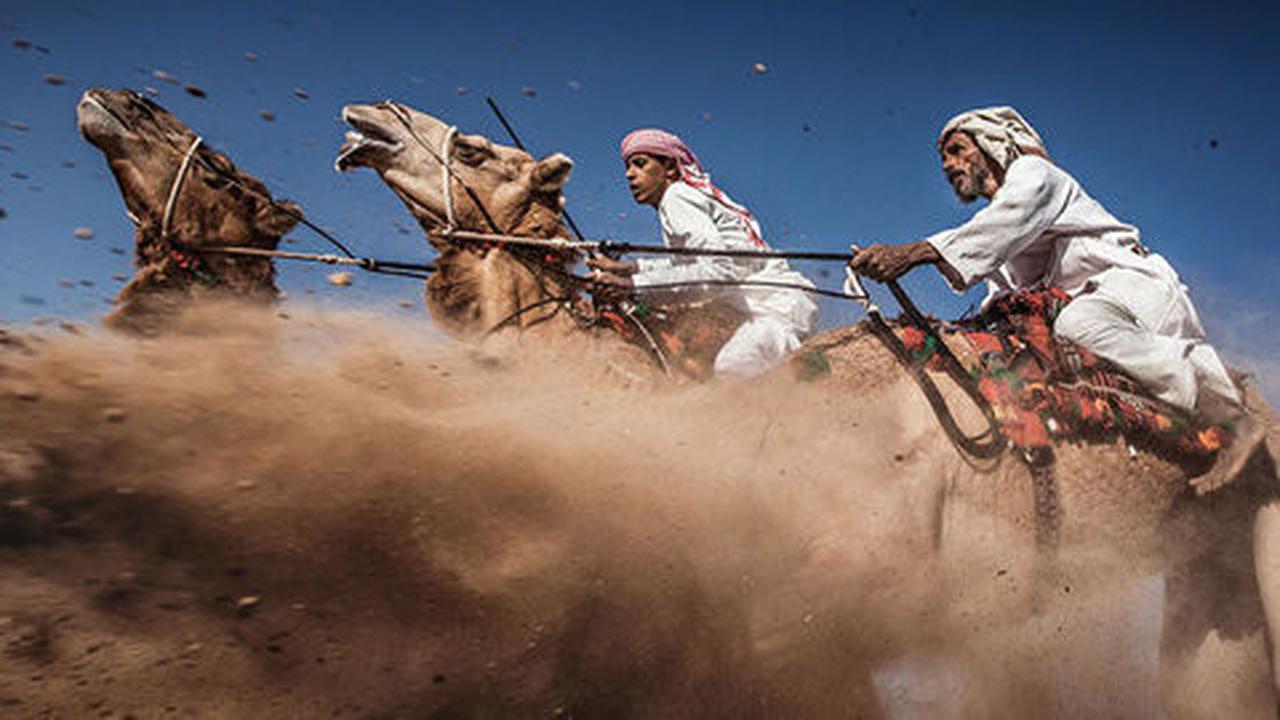 Artistiknya foto-foto pemenang National Geographic Photo Contest