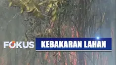 Minimnya sumber air dan kencangnya hembusan air membuat petugas kewalahan memadamkan api.