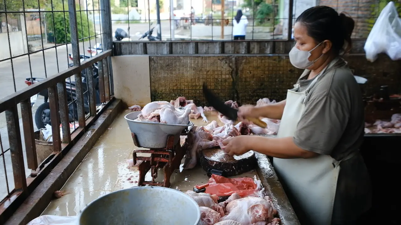 Berkah Dapur MBG mendorong usaha ayam potong di Karanganyar berkembang pesat dengan pasokan hingga 2,3 ton daging segar per hari