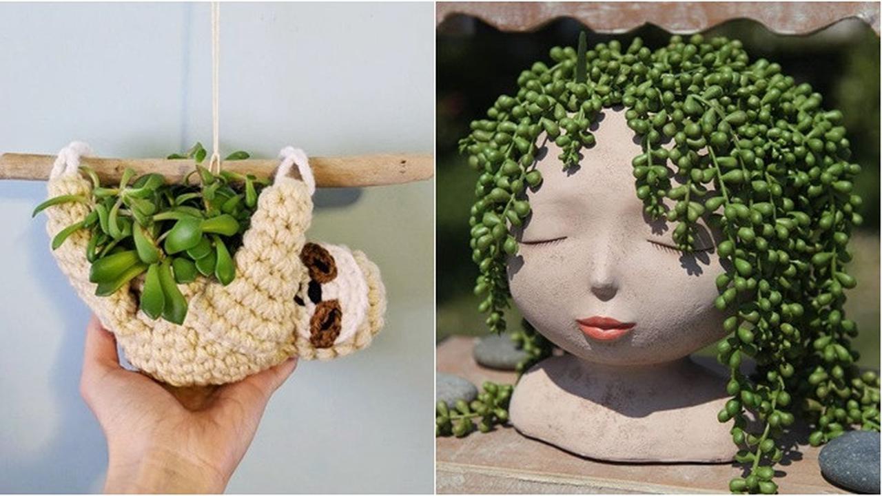 7 Pot Unik Anti Maintream Ini Bikin Tanaman Makin Hidup