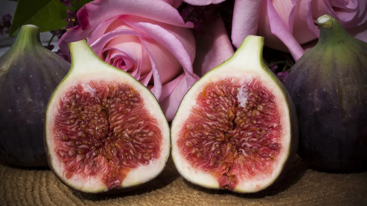 Manfaat buah tin untuk kesehatan