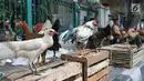 Pedagang tengah menjual ayam kampung di Jakarta, Selasa (12/6). Para pedagang ayam musiman tersebut menjual ayam dengan kisaran harga 100 ribu hingga 250 ribu untuk kebutuhan ayam potong lebaran. (Liputan6.com/Angga Yuniar)