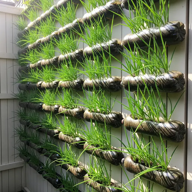 Kebun Daun Bawang dari Botol Plastik Bekas (Image by Gemini AI)