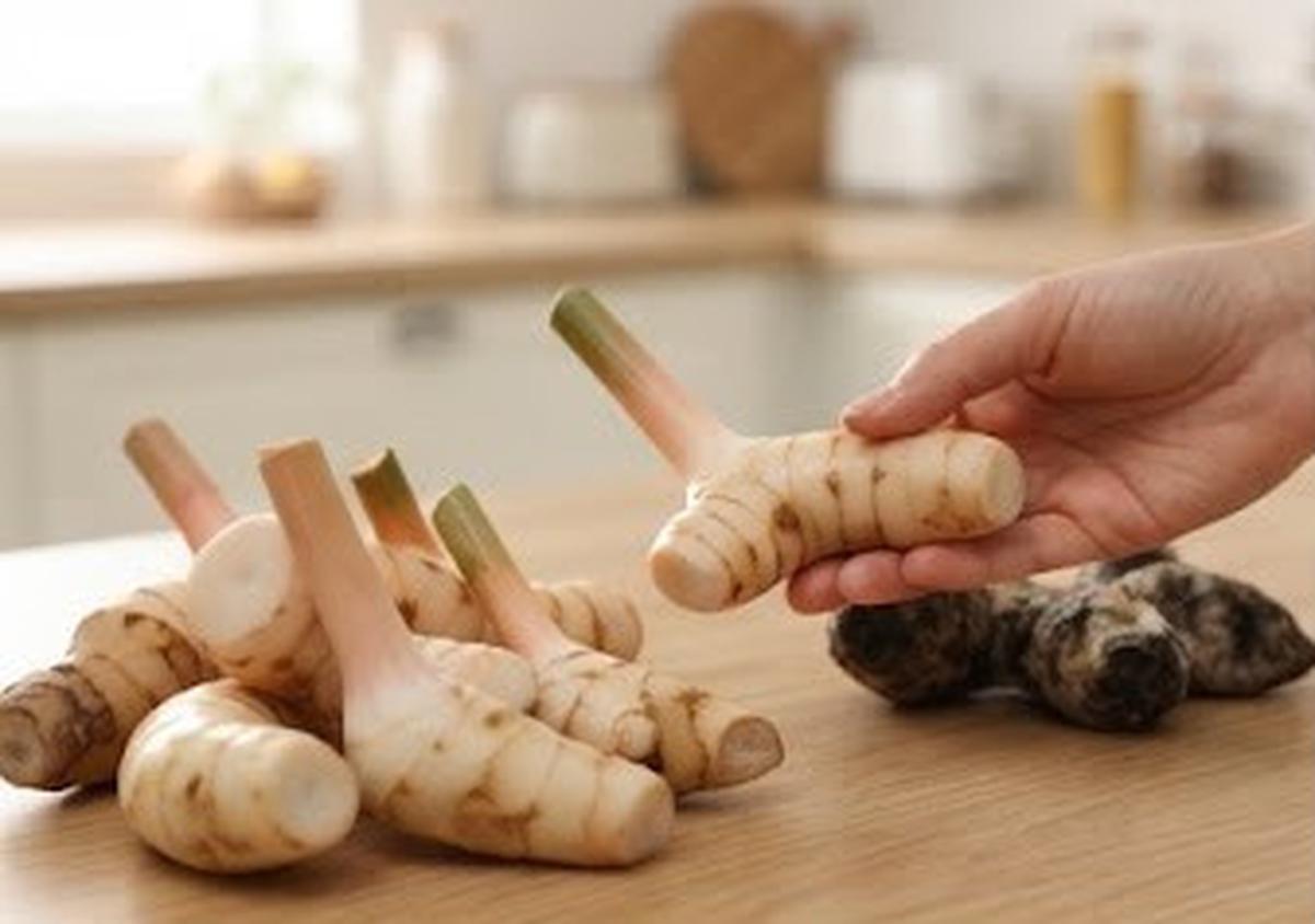 Cara Menyimpan Lengkuas agar Tahan Lama dan Tidak Mengering