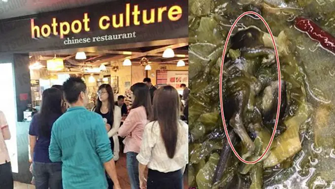 foto: copyright stomp.com.sg