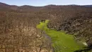 Hutan yang hangus akibat kebakaran di Taman Nasional Namadgi berubah menghijau di Canberra, Australia, pada 17 September 2020. Pohon-pohon yang hangus terbakar masih terlihat jelas di pegunungan Taman Nasional Namadgi. (Xinhua/Pemerintah Wilayah Ibu Kota Australia)