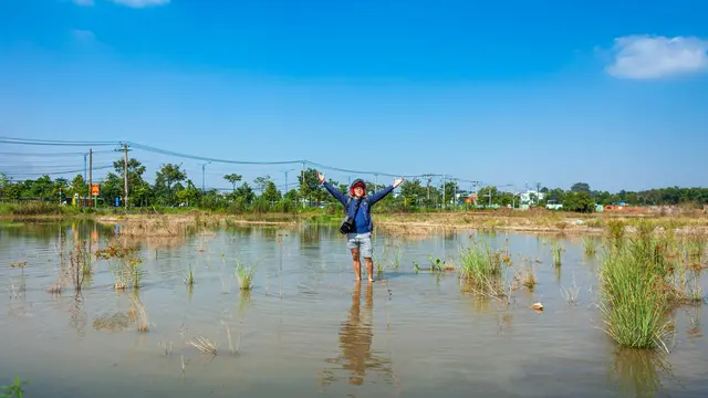 Gangguan Pencernaan dan Infeksi Saluran Pencernaan