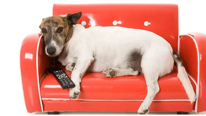 courtesy of directv.com