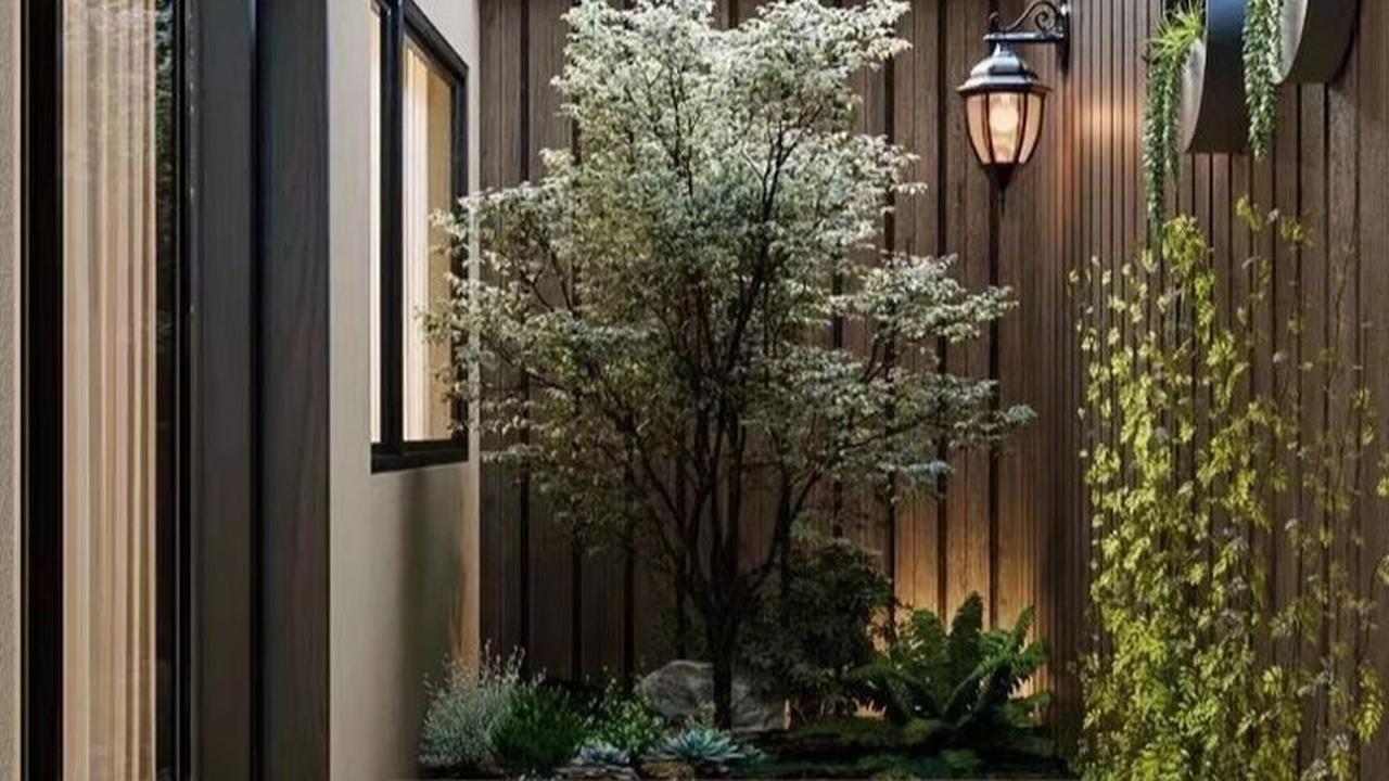 Ilustrasi Desain Taman Minimalis Modern