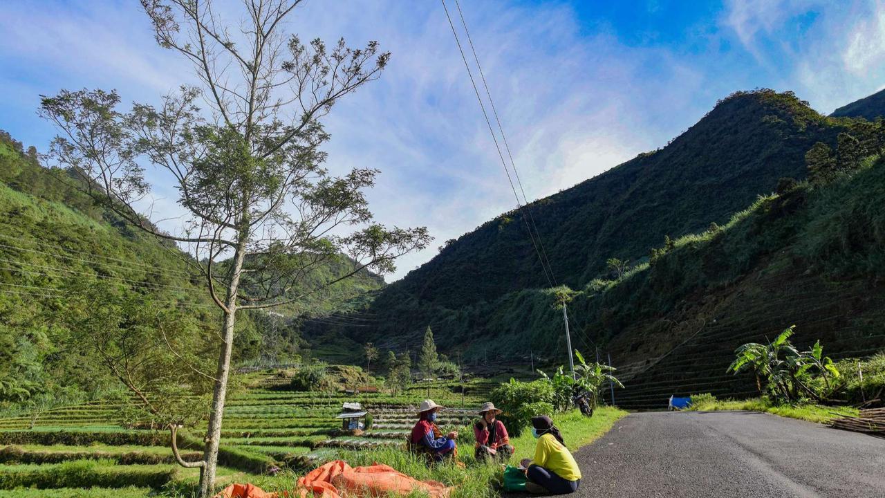 Indahnya Desa Wisata Sembungan yang dijuluku Swiss van Java
