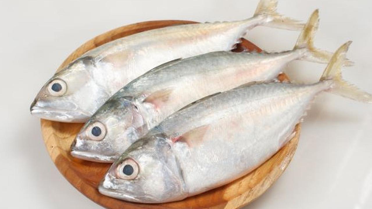 6 Resep Olahan Ikan Kembung untuk Menu Harian